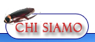 Chi Siamo