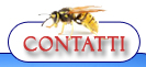 Contatti